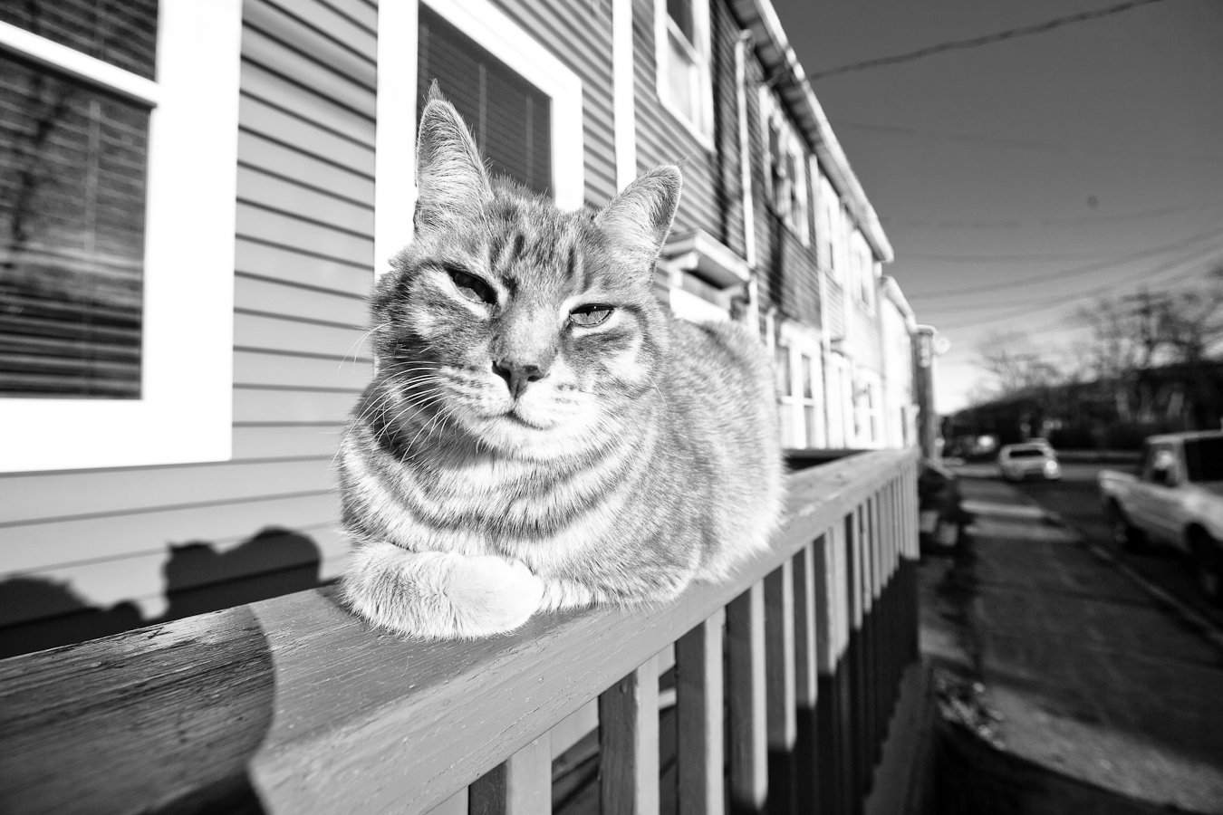 Gingercat owns this town shot by //d. for A City Like Ours