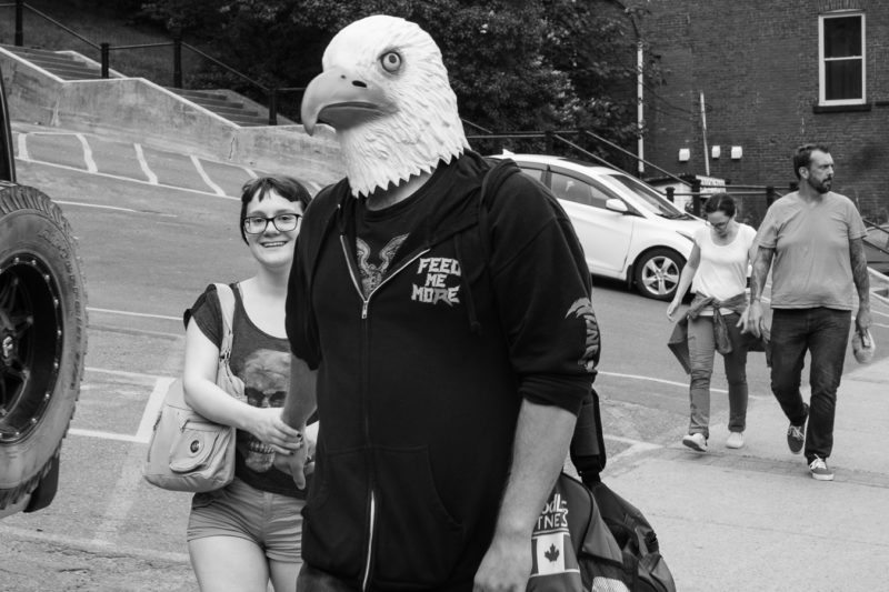 A gentleman eagle and his lady out for a walk - Water street